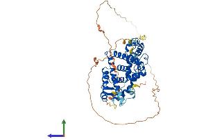 AlphaFold protein structure predicition of Mouse Recombinant Rxra Protein, UniprotID P28700