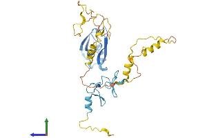 Protein Structure (PS) image for PDZ and LIM Domain 3 (PDLIM3) (AA 1-316) protein (His tag) (ABIN7562518)