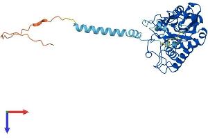 AlphaFold protein structure predicition of Mouse Recombinant A3galt2 Protein, UniprotID Q3V1N9 (alpha 1,3-Galactosyltransferase 2 (A3GALT2) (AA 1-370) protein (His tag))