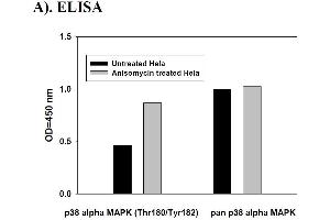 Image no. 2 for Mitogen-Activated Protein Kinase 14 (MAPK14) ELISA Kit (ABIN625242) (MAPK14 ELISA 试剂盒)