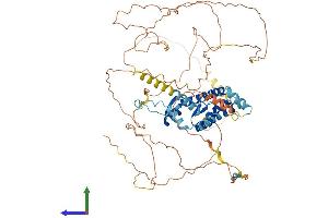 AlphaFold protein structure predicition of Human Recombinant AKAP8L Protein, UniprotID Q9ULX6