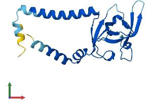 AlphaFold protein structure predicition of Mouse Recombinant Sec11a Protein, UniprotID Q9R0P6