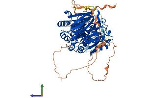 Protein Structure (PS) image for Sphingosine Kinase 2 (SPHK2) (AA 1-617) protein (His tag) (ABIN7561540)