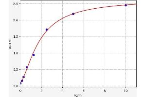 Typical standard curve (CYP21A2 ELISA 试剂盒)