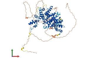 Protein Structure (PS) image for Cyclin F (CCNF) (AA 1-777) protein (His tag) (ABIN7563407)