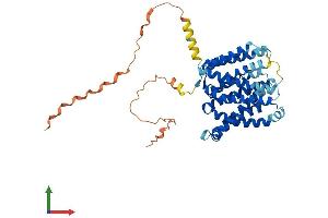 Protein Structure (PS) image for Solute Carrier Family 35, Member F1 (SLC35F1) (AA 1-408) protein (His tag) (ABIN7558564)