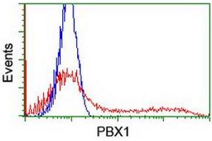 Flow Cytometry (FACS) image for anti-Pre-B-Cell Leukemia Homeobox Protein 1 (PBX1) antibody (ABIN1500046) (PBX1 抗体)