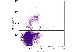 C57BL/6 mouse splenocytes were stained with Rat Anti-Mouse NKG2-A/C/E-PE. (NKG2A/C/E 抗体  (PE))