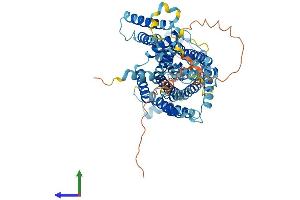 AlphaFold protein structure predicition of Mouse Recombinant Slc7a4 Protein, UniprotID Q8BLQ7 (SLC7A4 Protein (AA 1-635) (His tag))