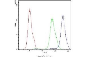 Flow cytometry testing of human Caco-2 cells with APOA1 antibody at 1ug/10^6 cells (blocked with goat sera) (APOA1 抗体)