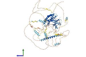 Protein Structure (PS) image for Axin 2 (AXIN2) (AA 1-840) protein (His tag) (ABIN7562630)