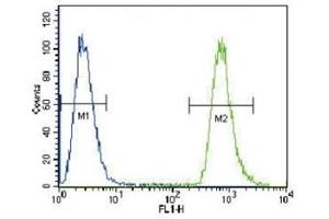 NEU2 antibody flow cytometric analysis of A549 cells (green) compared to a negative control (blue). (NEU2 抗体  (AA 23-50))