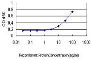 Detection limit for recombinant GST tagged RBP4 is approximately 3ng/ml as a capture antibody. (RBP4 抗体  (AA 19-201))