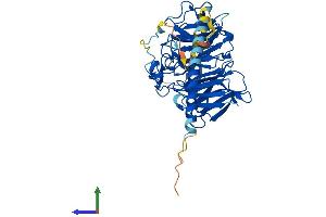 Protein Structure (PS) image for Coronin, Actin Binding Protein, 2B (CORO2B) (AA 1-480) protein (His tag) (ABIN7546730)