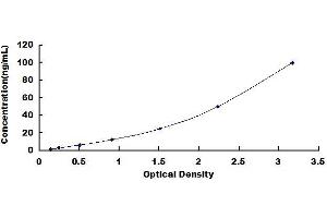 Typical standard curve (CTRB1 ELISA 试剂盒)