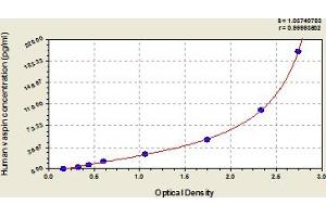Typical Standard Curve (SERPINA12 ELISA 试剂盒)