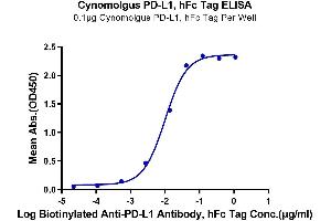 Immobilized Cynomolgus PD-L1, hFc Tag at 1 μg/mL (100 μL/well) on the plate. (PD-L1 Protein (AA 19-238) (Fc Tag))