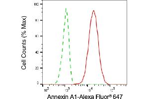Flow cytometric analysis of Annexin A1 expression in H9c2 cells using Annexin A1 antibody (ABIN7797611), 1:2,000). (Annexin a1 抗体)