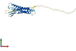 Protein Structure (PS) image for Claudin 19 (CLDN19) (AA 1-224) protein (His tag) (ABIN7546531)