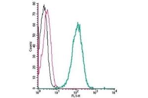 Cell surface detection of Nectin-4 by indirect flow cytometry in live intact human THP-1 monocytic leukemia cell line: (black line) Cells. (PVRL4 抗体  (Extracellular, N-Term))