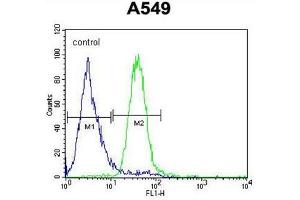 C5AR1 Antibody (Center) flow cytometric analysis of A549 cells (right histogram) compared to a negative control cell (left histogram). (C5AR1 抗体  (Middle Region))