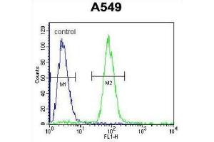 Flow Cytometry (FACS) image for anti-SRY (Sex Determining Region Y)-Box 3 (SOX3) antibody (ABIN2996519)