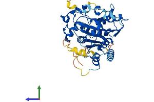Protein Structure (PS) image for Autophagy related 4B Cysteine Peptidase (ATG4B) (AA 1-393) protein (His tag) (ABIN7558547)