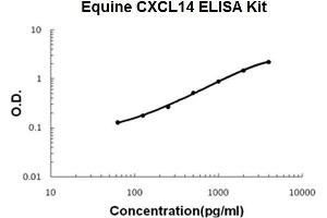 Horse equine CXCL14 PicoKine ELISA Kit standard curve