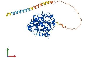 Protein Structure (PS) image for ST6 beta-Galactosamide alpha-2,6-Sialyltranferase 1 (ST6GAL1) (AA 1-406) protein (His tag) (ABIN7546003)