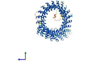Protein Structure (PS) image for Ankyrin Repeat Domain 44 (ANKRD44) (AA 1-993) protein (His tag) (ABIN7562065)