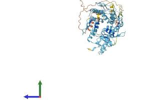 Protein Structure (PS) image for Zinc Finger Protein 92 (ZNF92) (AA 1-586) protein (His tag) (ABIN7545855)