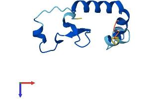 CNPY1 Protein (AA 1-94) (His tag)