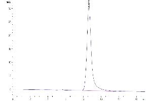 The purity of Human GITR is greater than 95 % as determined by SEC-HPLC.