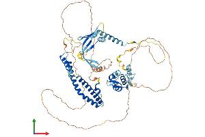 Protein Structure (PS) image for Elongation Factor, RNA Polymerase II, 2 (ELL2) (AA 1-639) protein (His tag) (ABIN7563729)