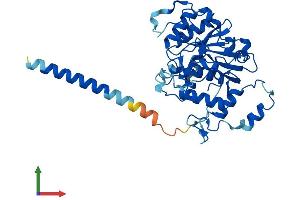 Protein Structure (PS) image for ST3 beta-Galactoside alpha-2,3-Sialyltransferase 3 (ST3GAL3) (AA 1-375) protein (His tag) (ABIN7546096)