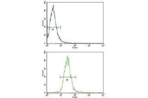 Flow cytometric analysis of NCI-H460 cells using TLR6 antibody (bottom histogram) compared to a negative control (top histogram). (TLR6 抗体  (AA 393-423))