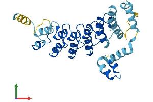 Protein Structure (PS) image for Ankyrin Repeat and SOCS Box Containing 8 (ASB8) (AA 1-288) protein (His tag) (ABIN7552363)