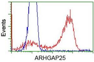 Flow Cytometry (FACS) image for anti-rho GTPase Activating Protein 25 (ARHGAP25) antibody (ABIN1496704) (ARHGAP25 抗体)