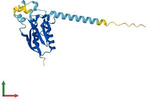 AlphaFold protein structure predicition of Human Recombinant DESI2 Protein, UniprotID Q9BSY9