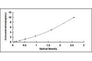 Typical standard curve (ADPRH ELISA 试剂盒)