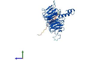 AlphaFold protein structure predicition of Human Recombinant ERCC8 Protein, UniprotID Q13216