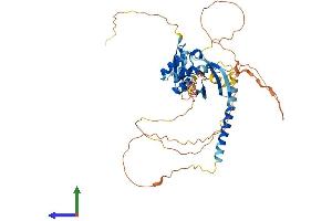 Protein Structure (PS) image for Midnolin (MIDN) (AA 1-468) protein (His tag) (ABIN7549436)