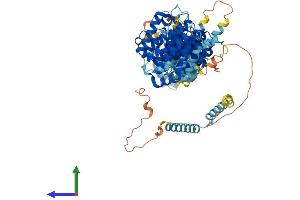 AlphaFold protein structure predicition of Mouse Recombinant Efr3a Protein, UniprotID Q8BG67