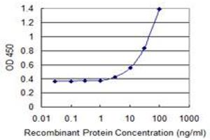 Detection limit for recombinant GST tagged ALOX15 is 1 ng/ml as a capture antibody. (ALOX15 抗体  (AA 1-662))