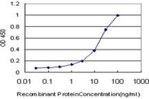 Detection limit for recombinant GST tagged EGR1 is approximately 0. (EGR1 抗体  (AA 444-543))