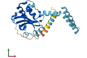 Protein Structure (PS) image for Lecithin Retinol Acyltransferase (Phosphatidylcholine--Retinol O-Acyltransferase) (LRAT) (AA 1-230) protein (His tag) (ABIN7549105)
