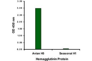 ELISA analysis of Influenza A virus Hemagglutinin H5 protein with 2 ug/mL Influenza A virus Hemagglutinin H5 monoclonal antibody, clone 4H1C10 . (Hemagglutinin 抗体  (Internal Region))