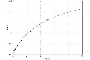 A typical standard curve (ODC1 ELISA 试剂盒)