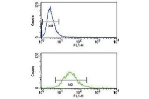 HLA-G antibody flow cytometry analysis of NCI-H460 cells (bottom histogram) compared to a negative control (top histogram).
