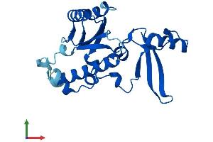 Protein Structure (PS) image for Polymerase (RNA) II (DNA Directed) Polypeptide E, 25kDa (POLR2E) (AA 1-210) protein (His tag) (ABIN7551533)